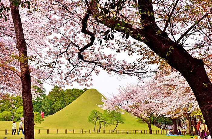 Suizenji-Park