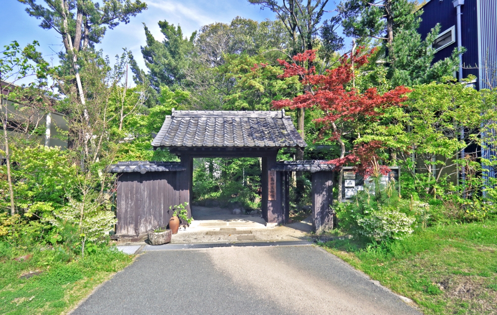 Shimada Museum Café Kinokemuri
