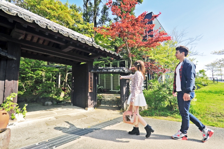 Shimada Museum Café Kinokemuri