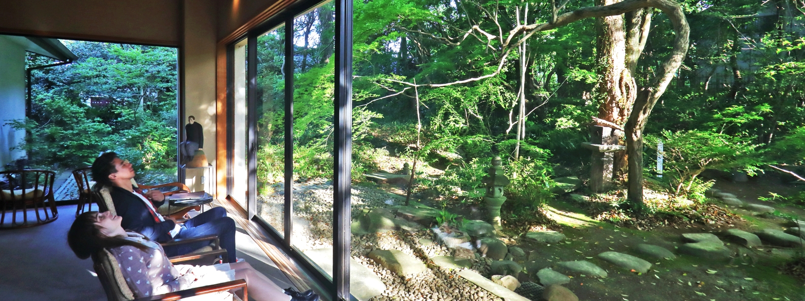 Shimada Museum Café Kinokemuri