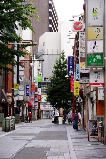 銀杏通り [撮影時期：6月15時頃]