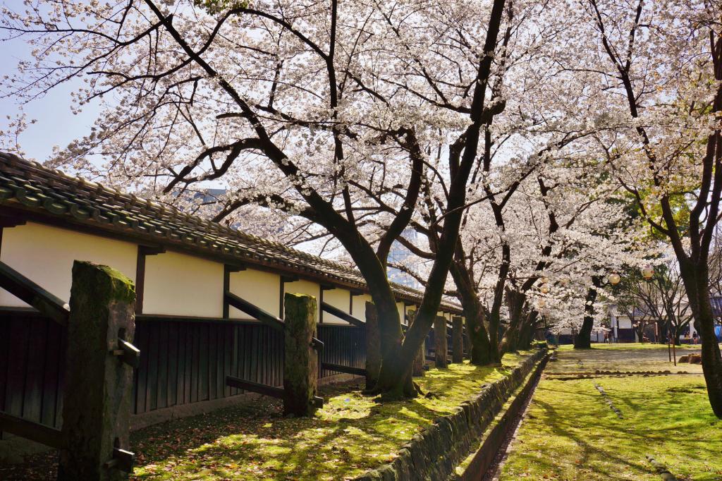 竹の丸広場 [撮影時期：3月15時頃]