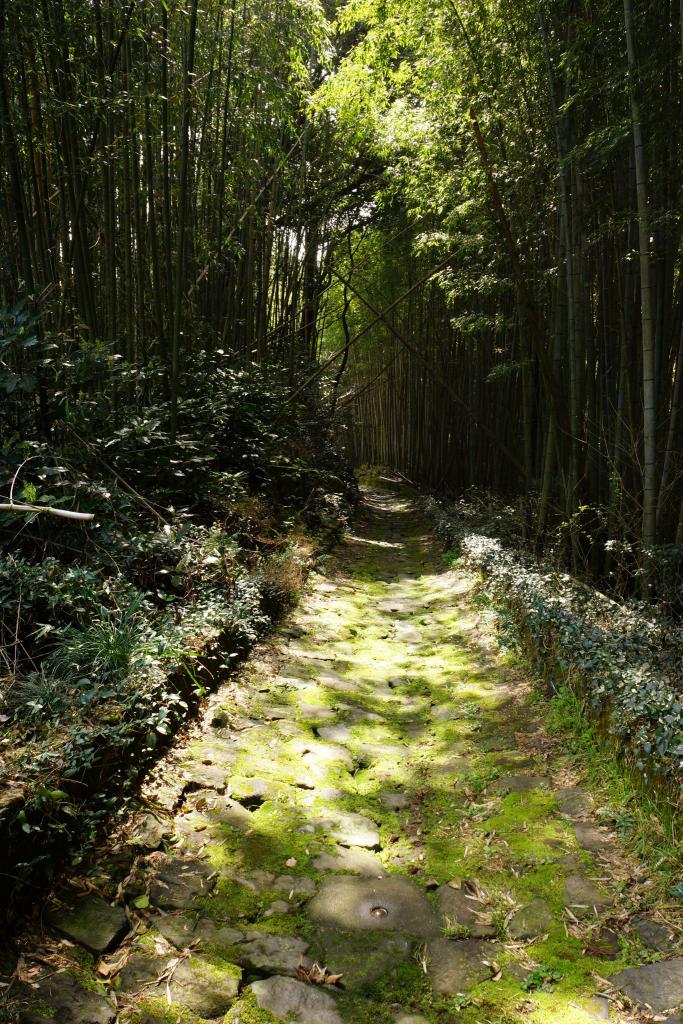 石畳の道③