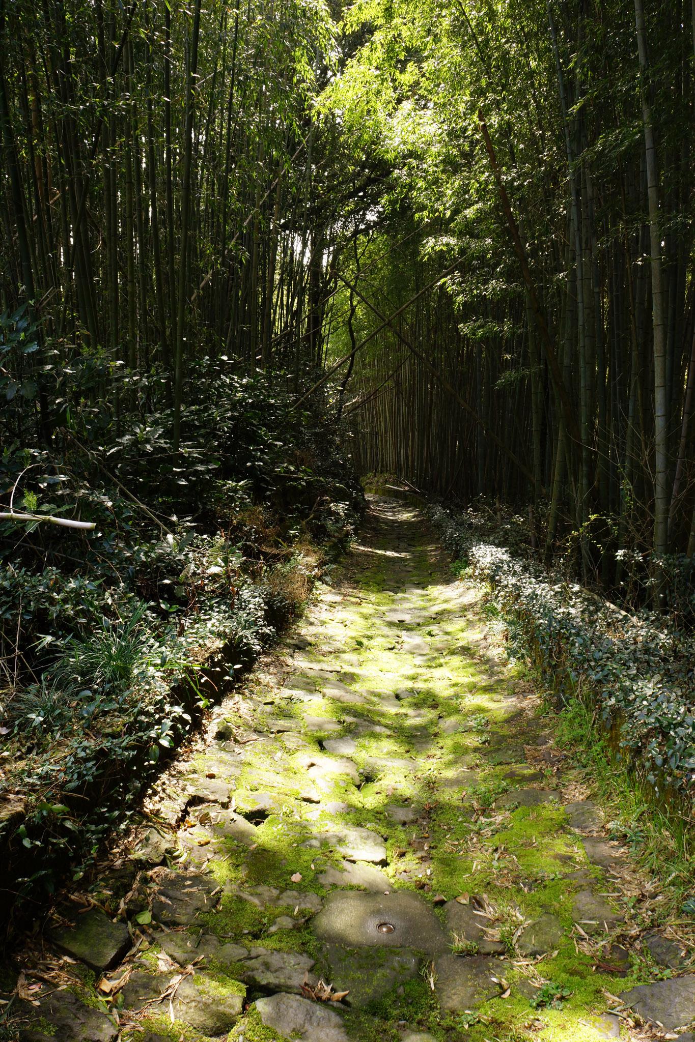 石畳の道③