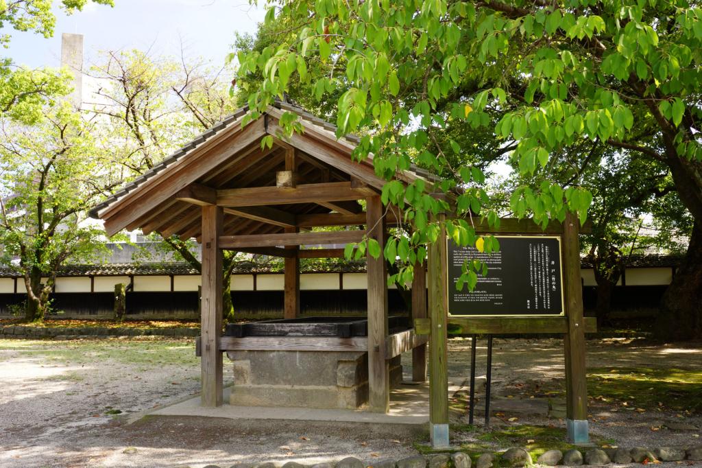 竹の丸の井戸 [撮影時期：9月14時頃]