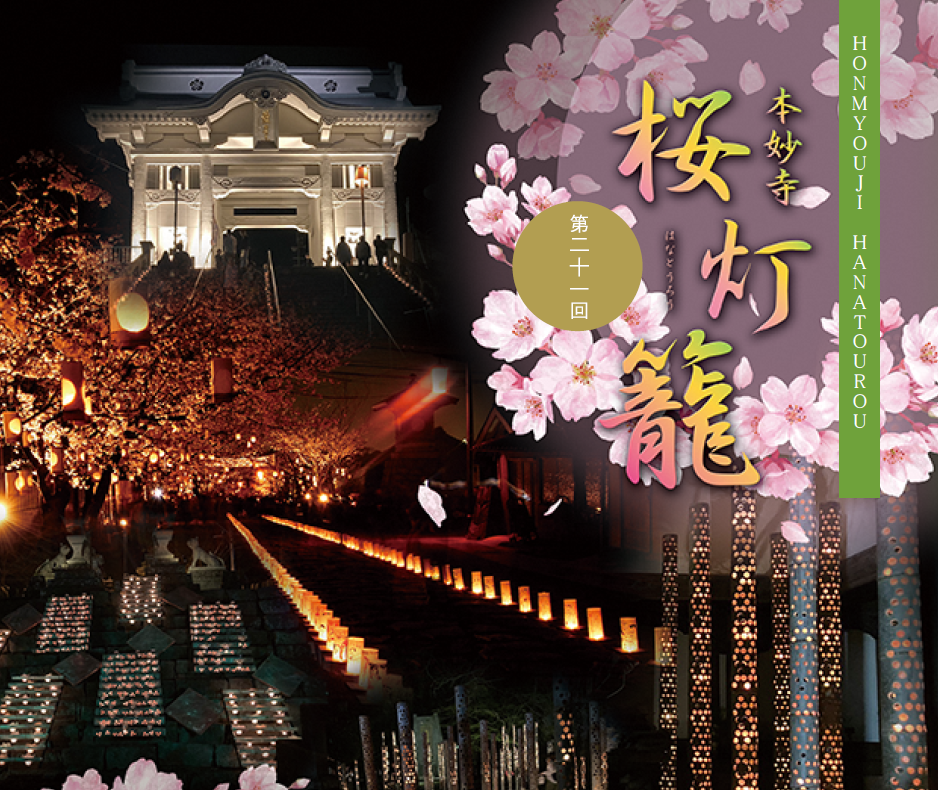 本妙寺桜灯籠
