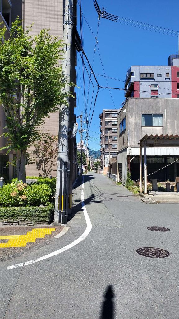 八雲通り