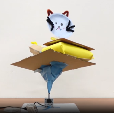 【無料】CAMPクリケットワークショップ@熊本