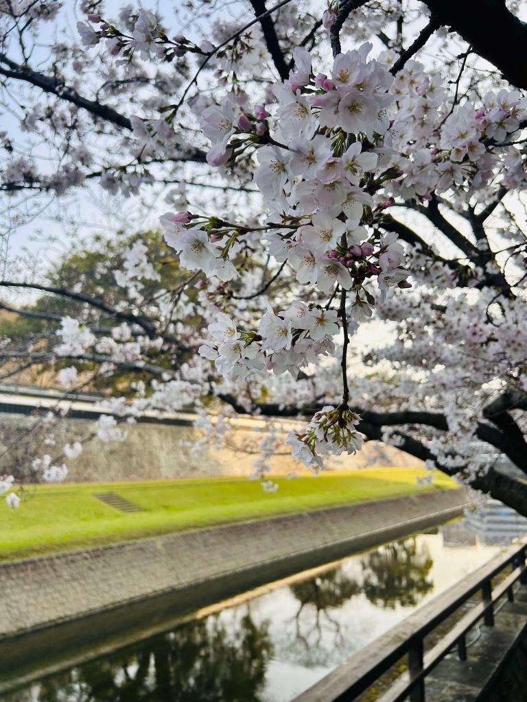 長塀通り
