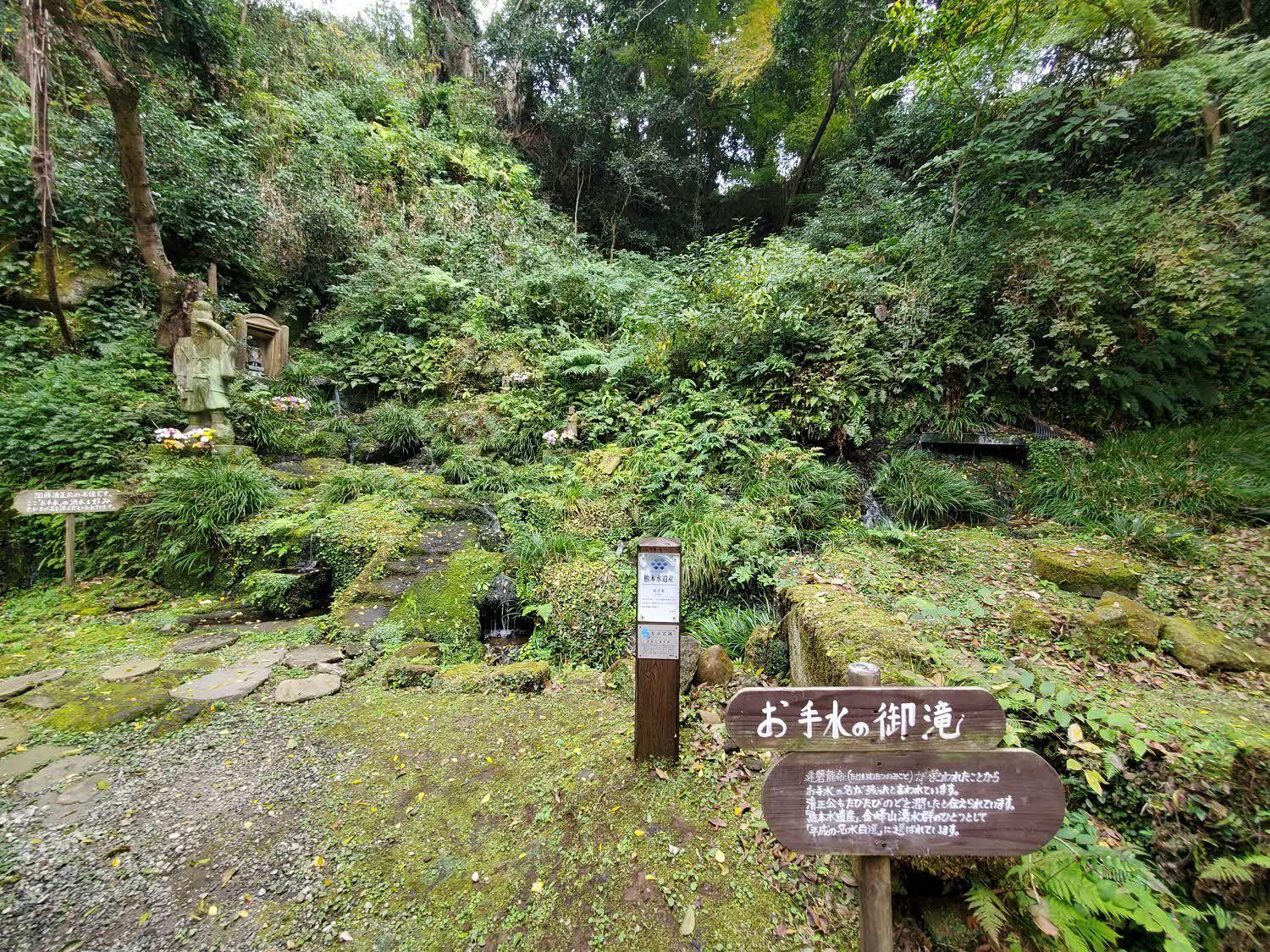 お手水の森