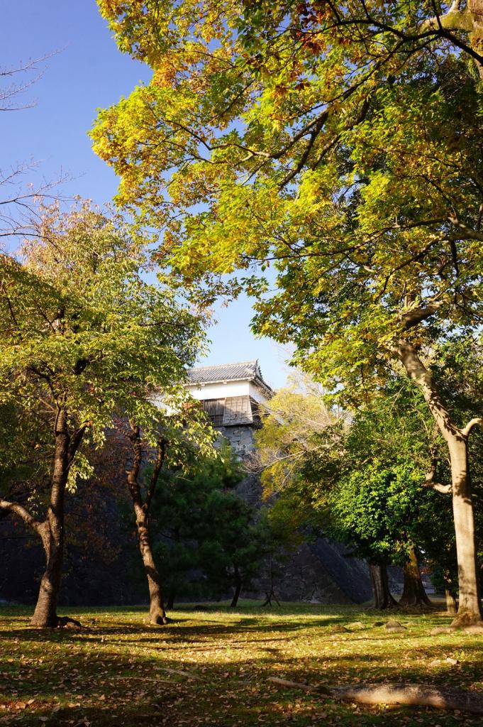 東竹の丸 [撮影時期：11月15時頃]