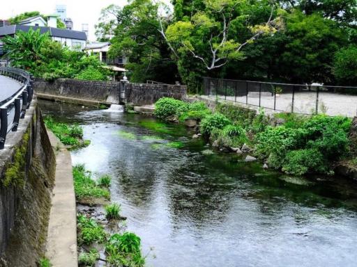 藻器堀川