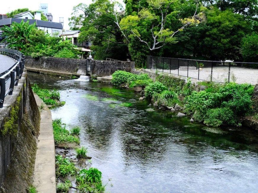 藻器堀川