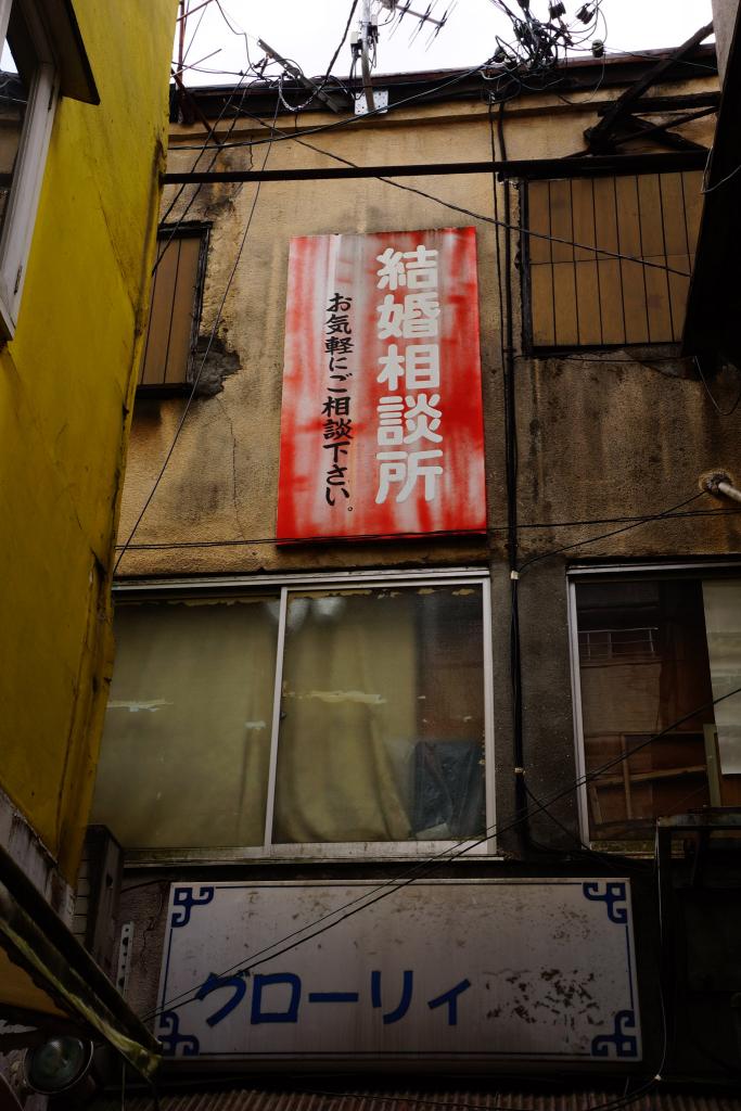 銀杏通り [撮影時期：6月15時頃]