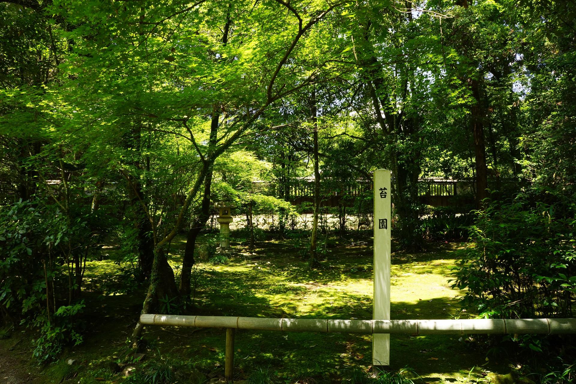 立田自然公園(苔園)