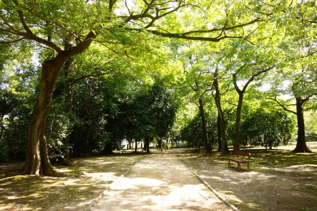 東竹の丸 [撮影時期：9月15時頃]