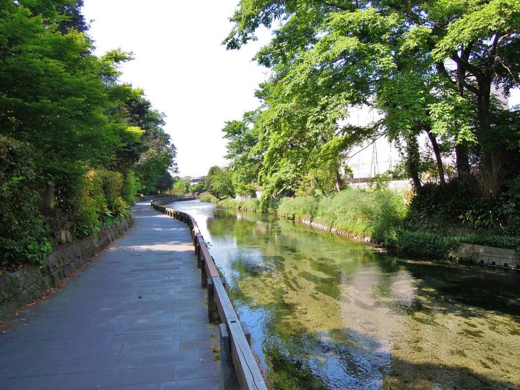 下江津湖 [撮影時期：5月10時頃]