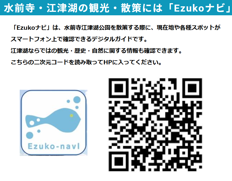 Ezukoナビ