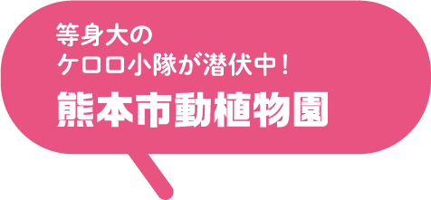等身大のケロロ小隊が潜伏中！熊本市動植物園