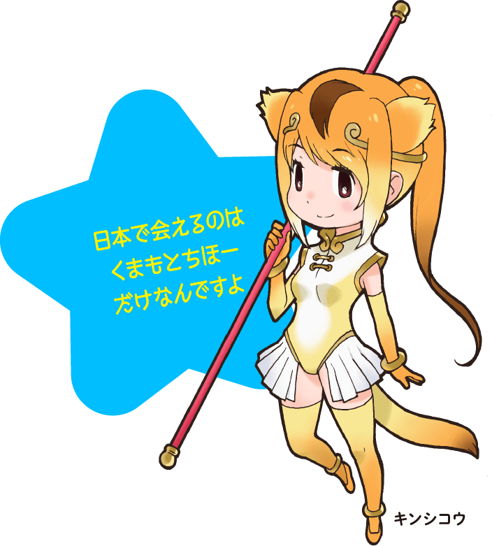 日本で会えるのはくまもとちほーだけなんですよ