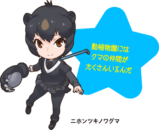 動植物園にはクマの仲間がたくさんいるんだ