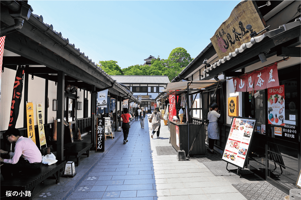 桜の小路