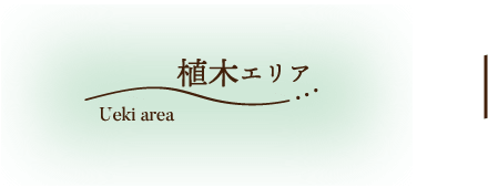 植木エリア