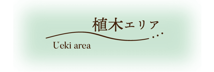 植木エリア