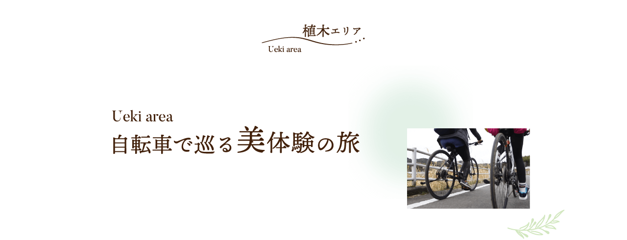 自転車で巡る美体験の旅