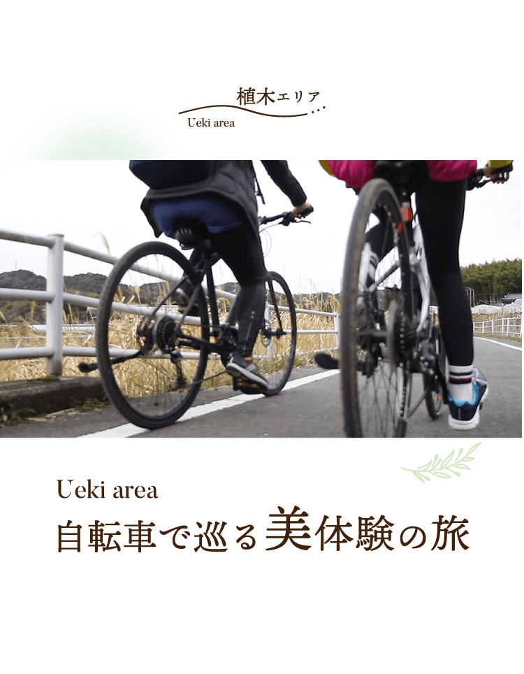 自転車で巡る美体験の旅