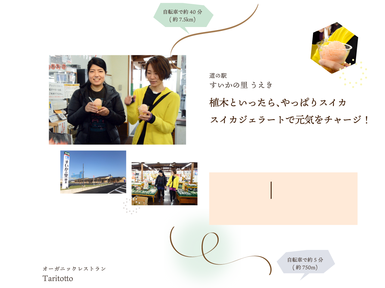 自転車で巡る美体験の旅