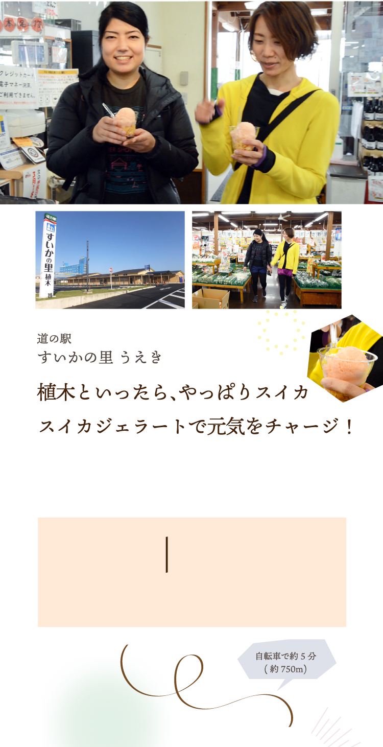 自転車で巡る美体験の旅