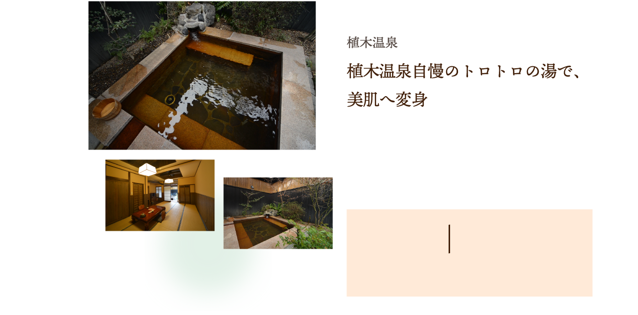 自転車で巡る美体験の旅