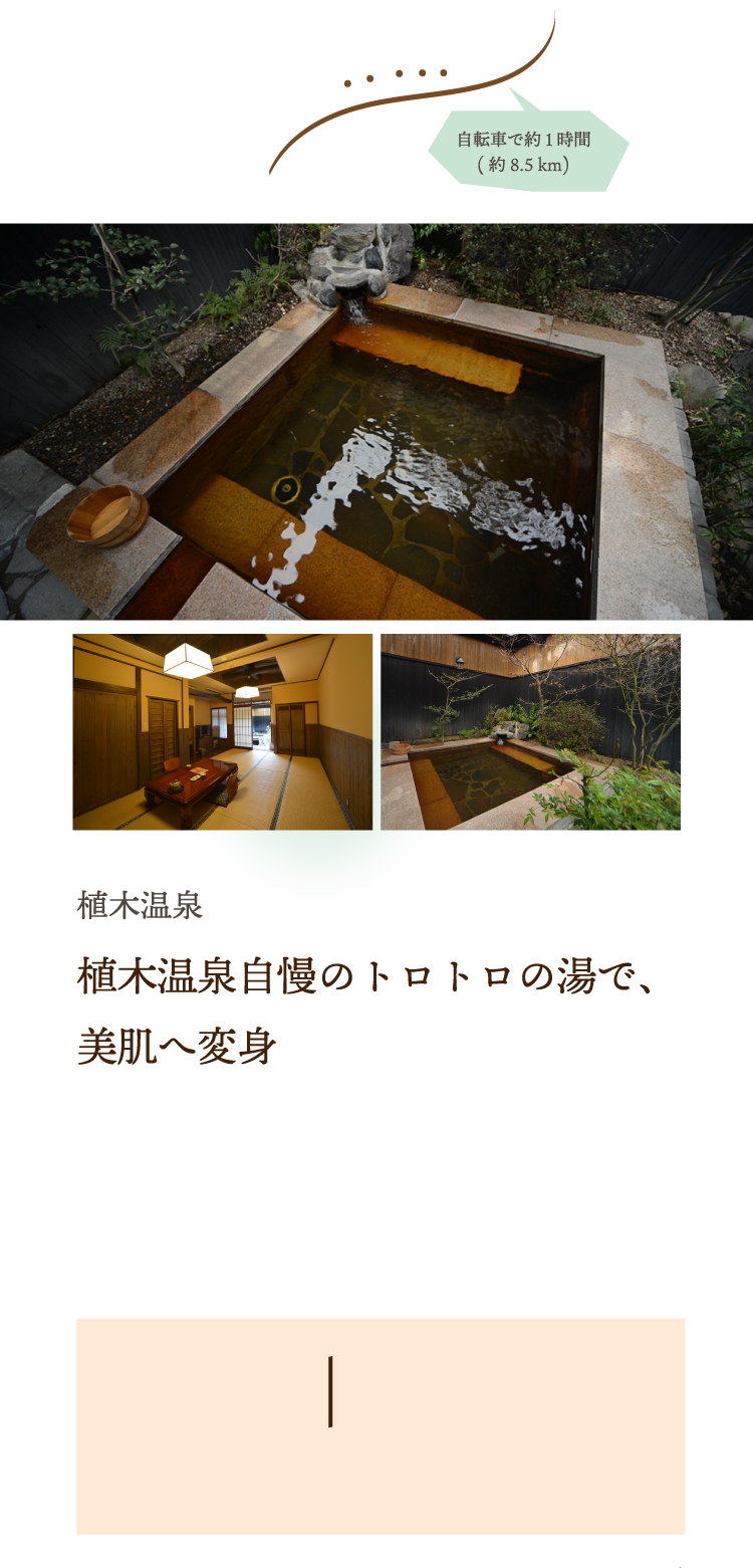 自転車で巡る美体験の旅