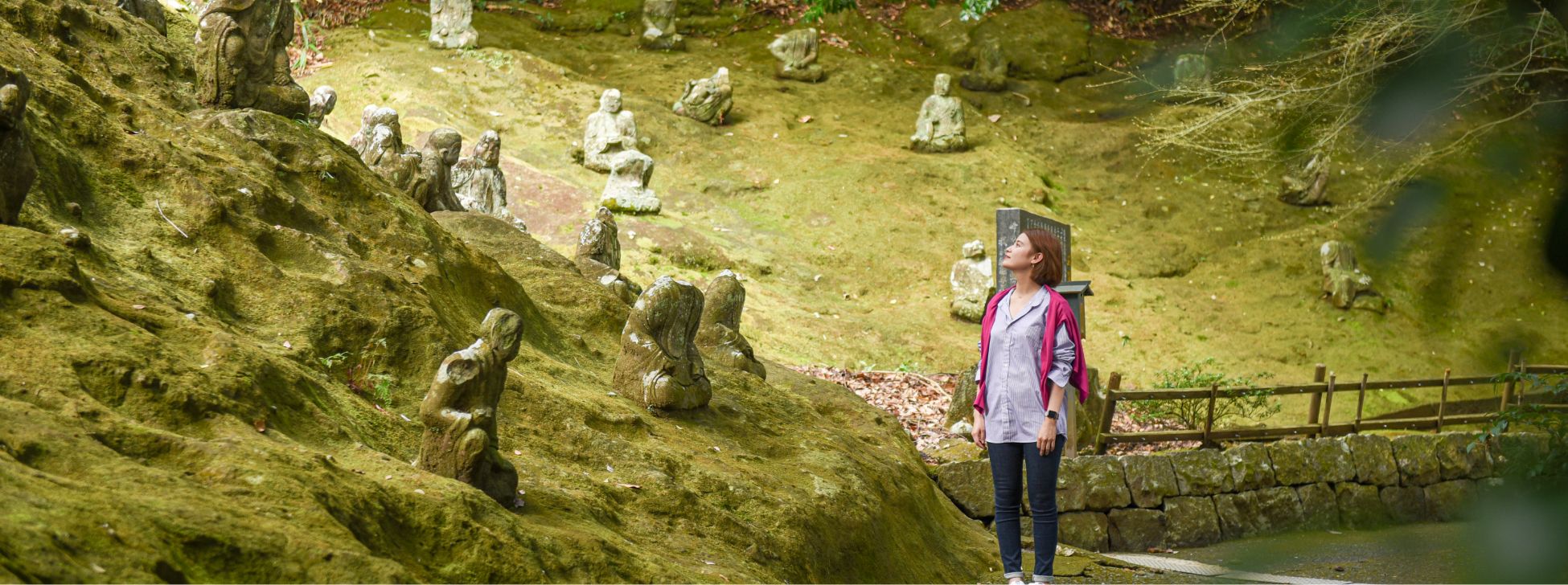 河内・金峰山エリアの写真