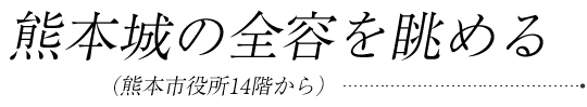 熊本城の全容を眺める(熊本市役所14階から)
