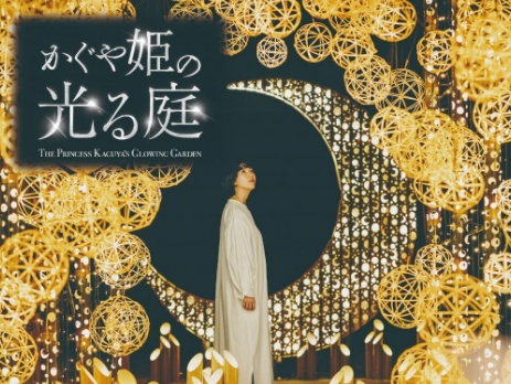かぐや姫の光る庭