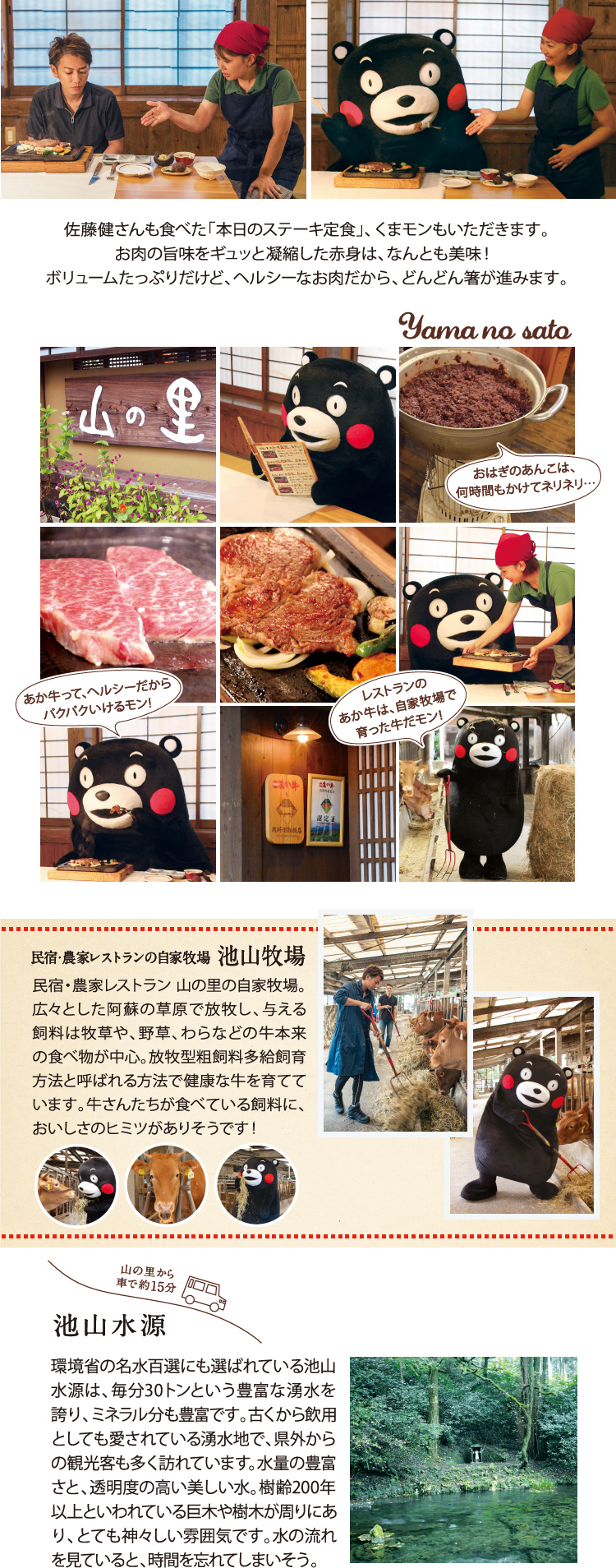 観光案内