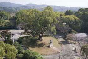 田原坂公園